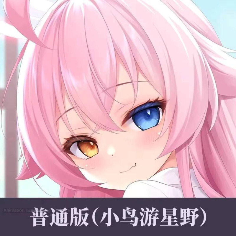 Body Pillow Cover - Dakimakura Blue Archive Takanashi Hoshino сексуальная